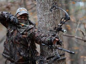 Bowhunting Tips For Beginners