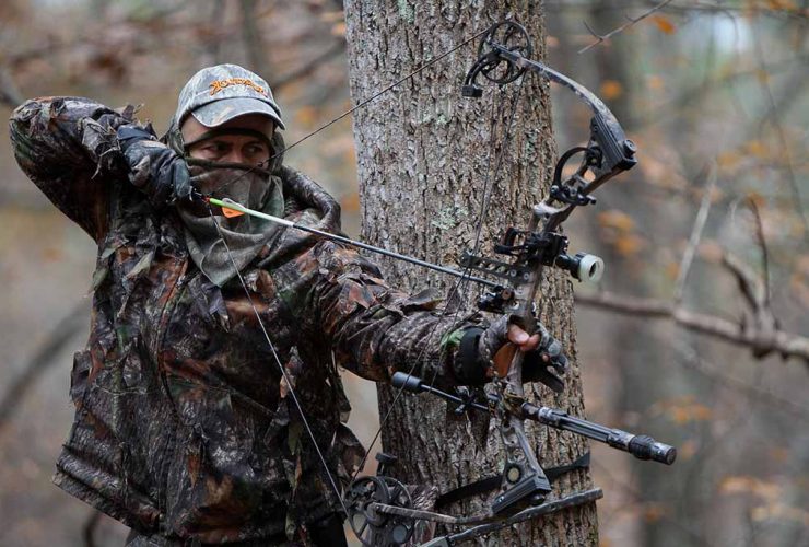 Bowhunting Tips For Beginners