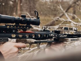 How to pick the right crossbow for beginners