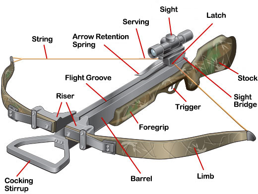 Recurve Crossbow Parts