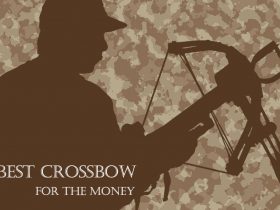 Best Crossbow For The Money