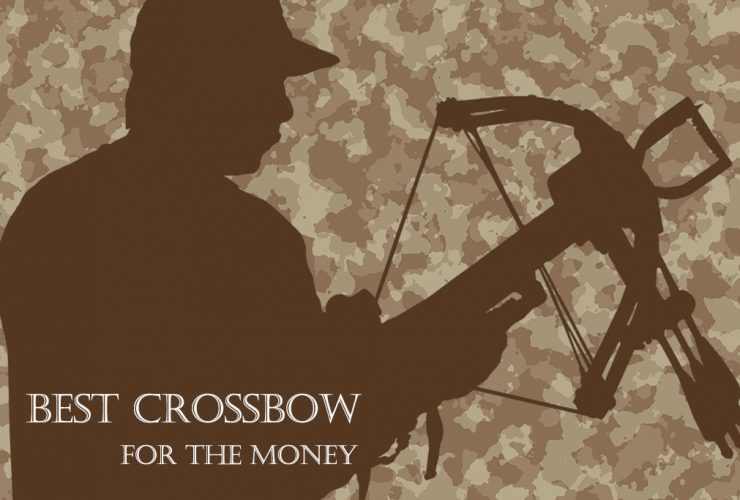 Best Crossbow For The Money