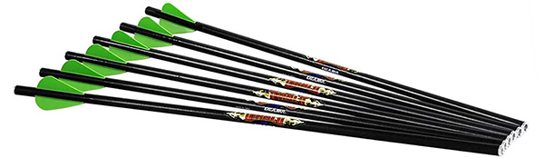 Excalibur Diablo Carbon Arrows