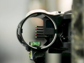 Best Bow Sight Reviews