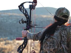 Best Compound Bow