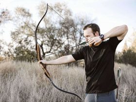 Best Recurve Bow